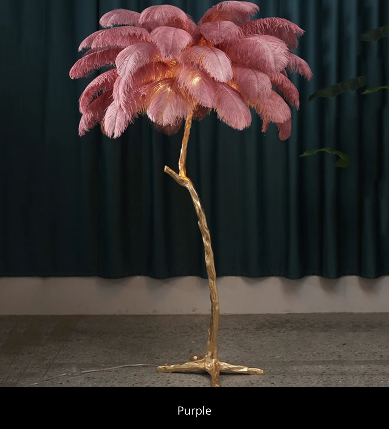 Bird feather lamps