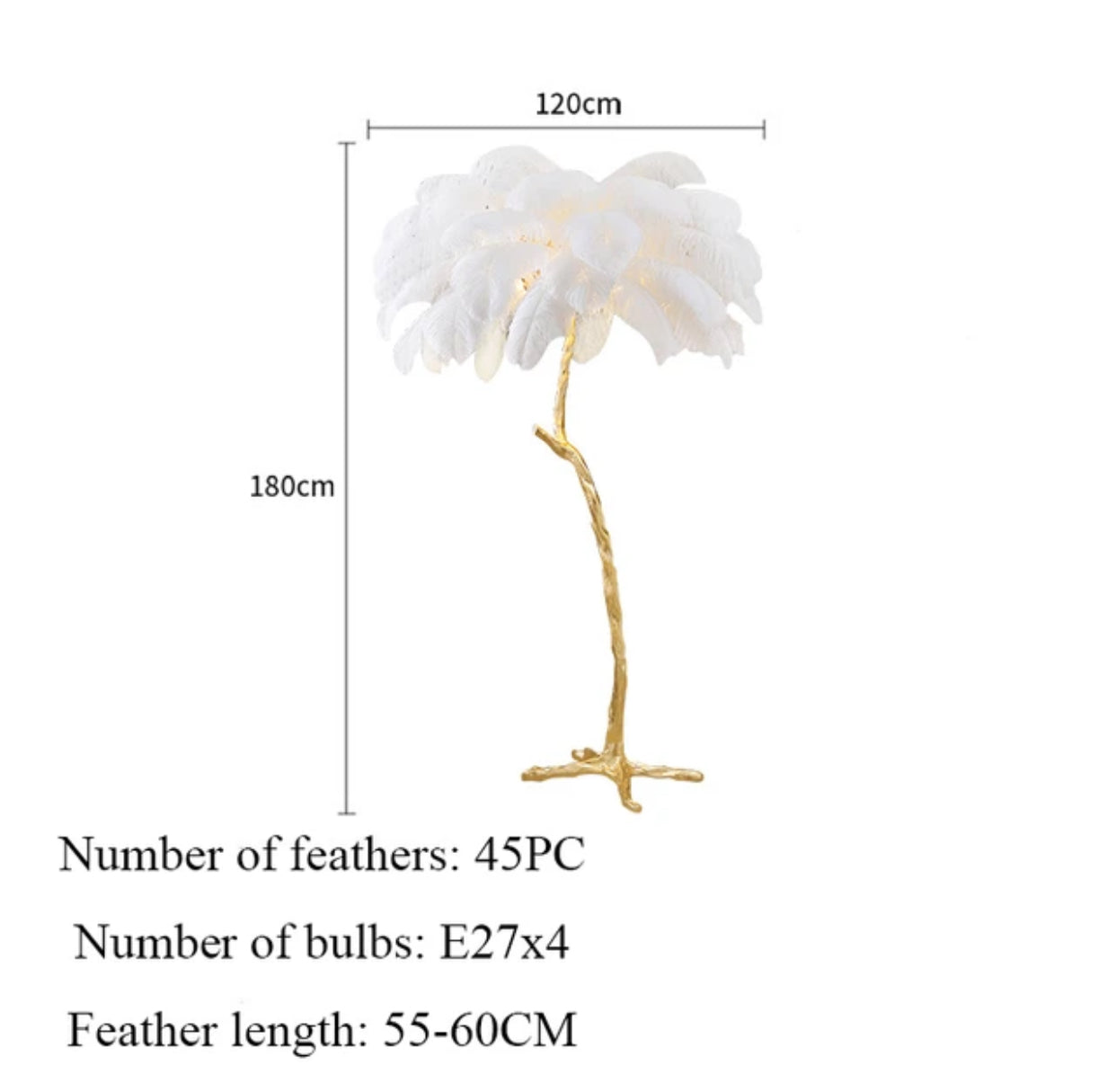Bird feather lamps